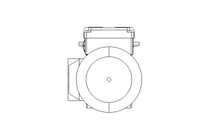 Motore a vite senza fine 0,25kW 15 1/min