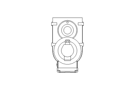 Getriebemotor 0,25kW 69 1/min