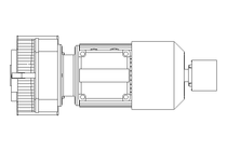 Getriebemotor 0,25kW 69 1/min