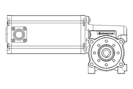 Motor engrenagem sem fim 0,1kW