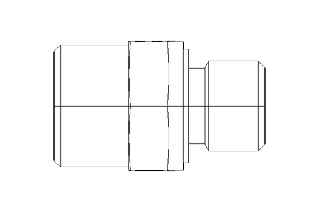 Einschraubstutzen L 12 R1/4" Niro