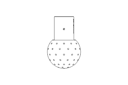 SPRAYING BALL DN10