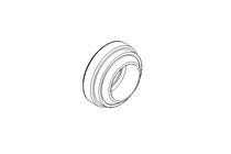 Anello raschiatore WSW 6x10x4 PUR