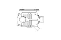 WORM GEAR MOTOR