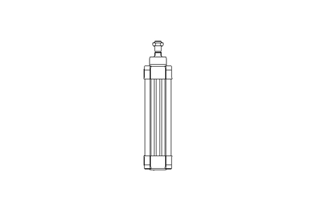 Zylinder DW 63 H 160