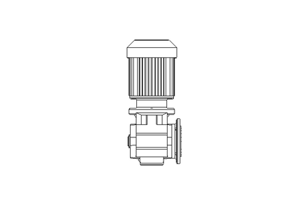 Schneckengetriebemotor 0,25kW 45 1/min