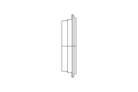 Inserto de metal-vidro inline Tam.2 DN40