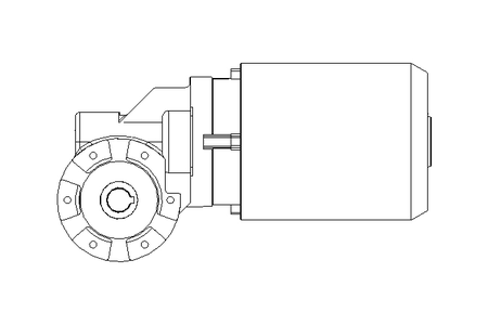 螺杆齿轮速电机 0,55kW 56 1/min