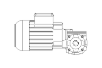 Worm gear motor 0.55kW 140 1/min