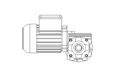 Worm gear motor 0.25kW 18 1/min