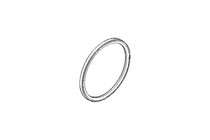 Anello di tenuta Glyd Ring PG 59,5x67