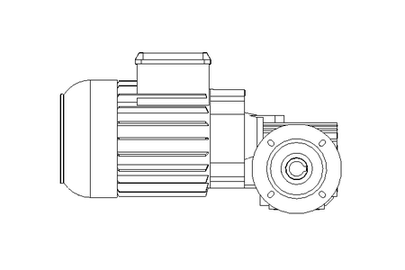 Worm gear motor 0.55kW 74 1/min