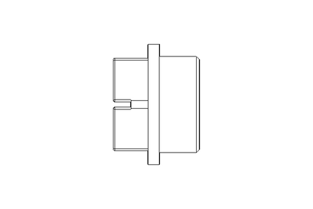 Заглушка GPN710G3/8 D=16,6