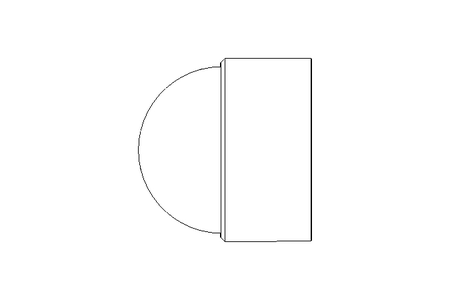 Bouchon GPN1000/1079 SW=36