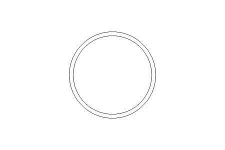 O 形环 113,67x5,33 Fluoroprene