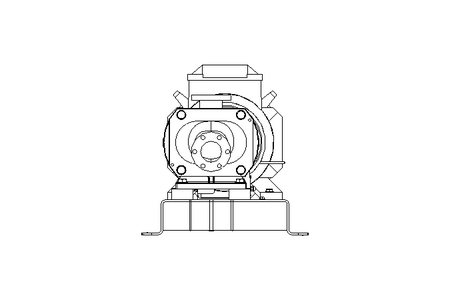 Schraubenspindelpumpe