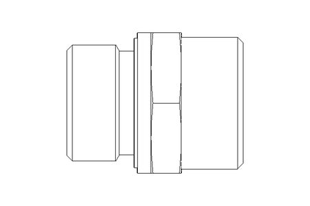 Ввинчиваемый патрубок L 22 G3/4" St