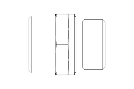 Ввинчиваемый патрубок L 22 G3/4" St