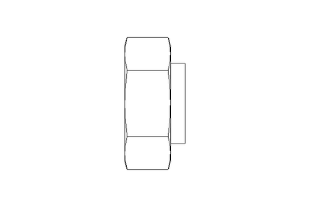 Dado di chiusura L 42 St ISO8434