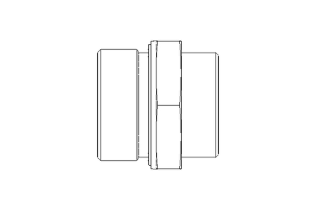 Raccordo a vite L 35 G 1 1/2" St ISO8434