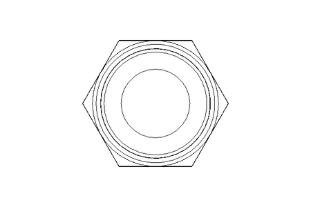 Raccordo a vite L 35 G 1 1/2" St ISO8434