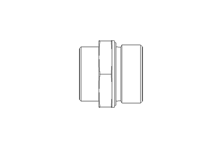 Raccordo a vite L 35 G 1 1/2" St ISO8434