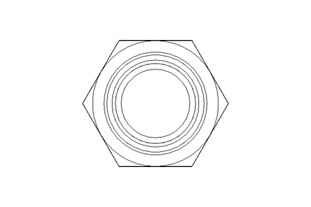 Raccordo a vite L 35 G 1 1/2" St ISO8434