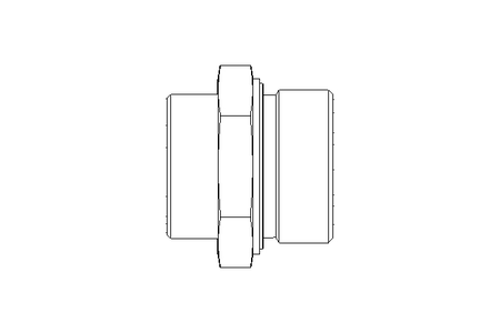 Raccordo a vite L 35 G 1 1/2" St ISO8434