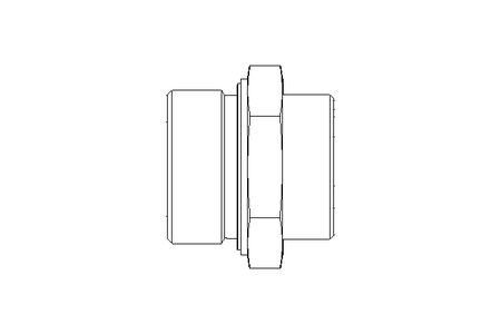 Raccordo a vite L 35 G 1 1/2" St ISO8434