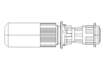 GEAR MOTOR