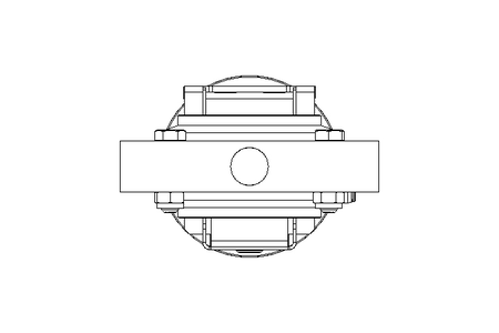 Scheibenventil B DN065 WVW AA E