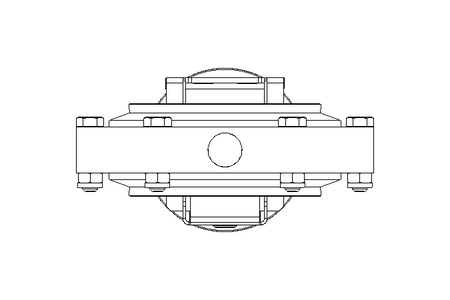 Scheibenventil B DN100 WVW AA E