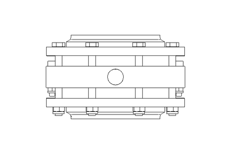 Vanne papillon B DN100 FVF AA E