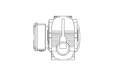 Motore a vite senza fine 0,55kW 19 1/min