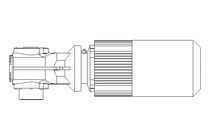 GEAR MOTOR