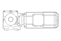 螺杆齿轮速电机 0,55kW 19 1/min