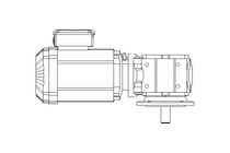 Worm gear motor 0.55kW 50 1/min