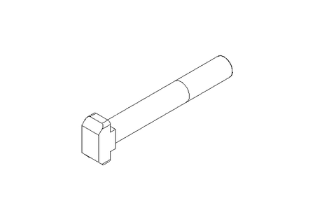 Parafuso cabeca martelo M10 x 70  A2