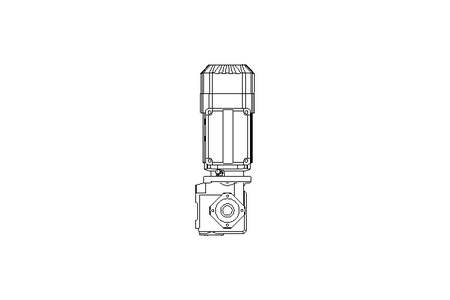 Worm gear motor 0.55kW 45 1/min