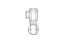 Worm gear motor 0.55kW 16 1/min