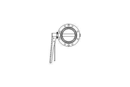 Butterfly valve B DN080 OVO MA F