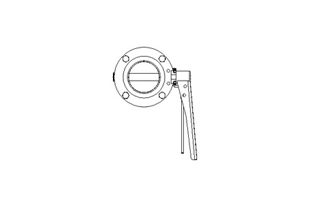 Butterfly valve B DN065 WVW MA F