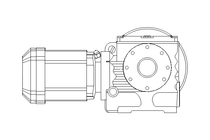 Worm gear motor 0.37kW 20 1/min