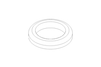 GASKET          G 15 DIN 11851