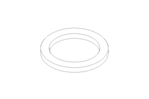 GASKET           G25 DIN 11851