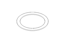 FLAT GASKET   50X63X1,5 EPDM