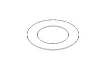 FLAT GASKET          65 ND40 DIN2690 FDA