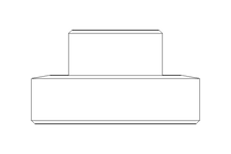 Raccord fileté SC DN25 1.4404 DIN11851