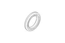 Anello di tenuta Glyd Ring RG 12x17,7