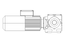 WORM GEAR MOTOR